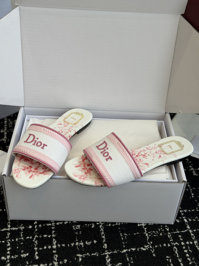 D10r SLIDES DS-0124