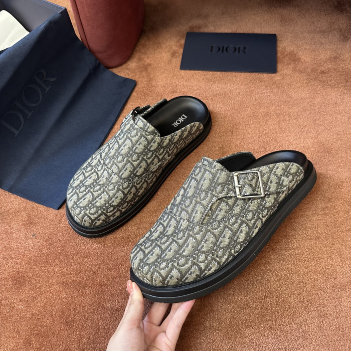 D10r SLIDES DS-0160