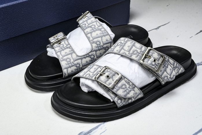 D10r slides ds-059