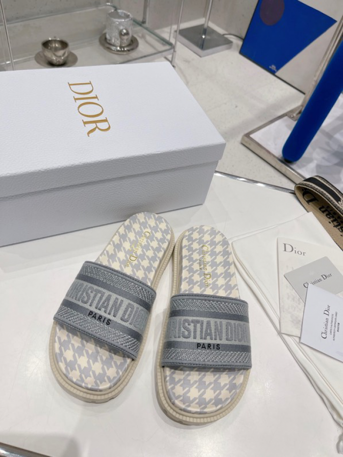D10r slides ds-020