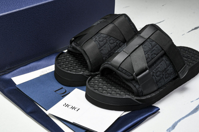 D10r slides ds-065