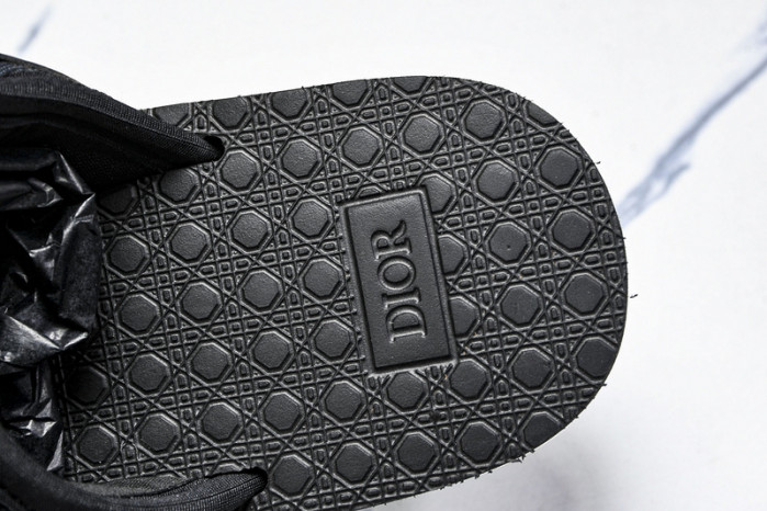 D10r slides ds-066