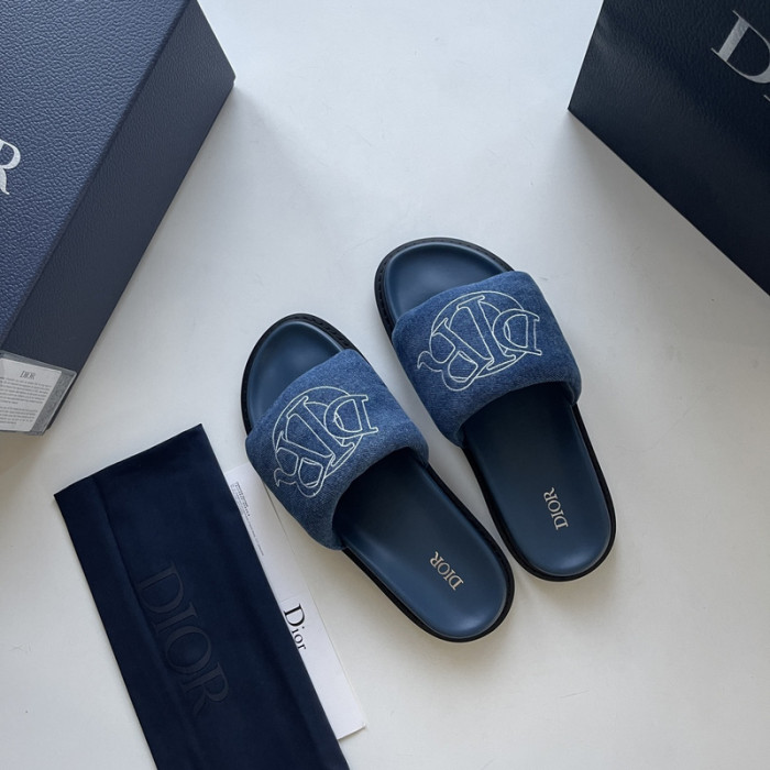 D10r slides ds-044