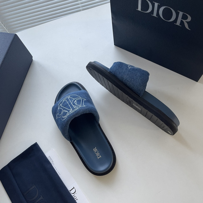 D10r slides ds-044