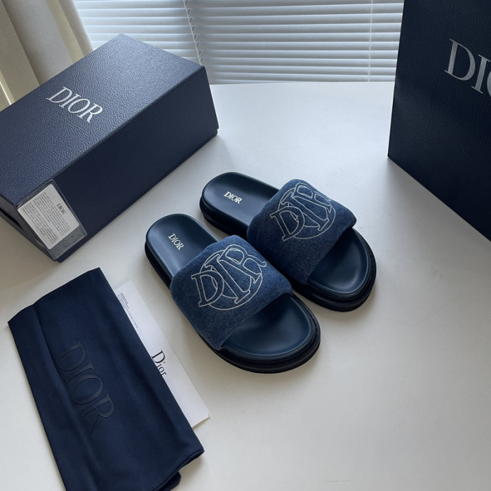 D10r slides ds-044