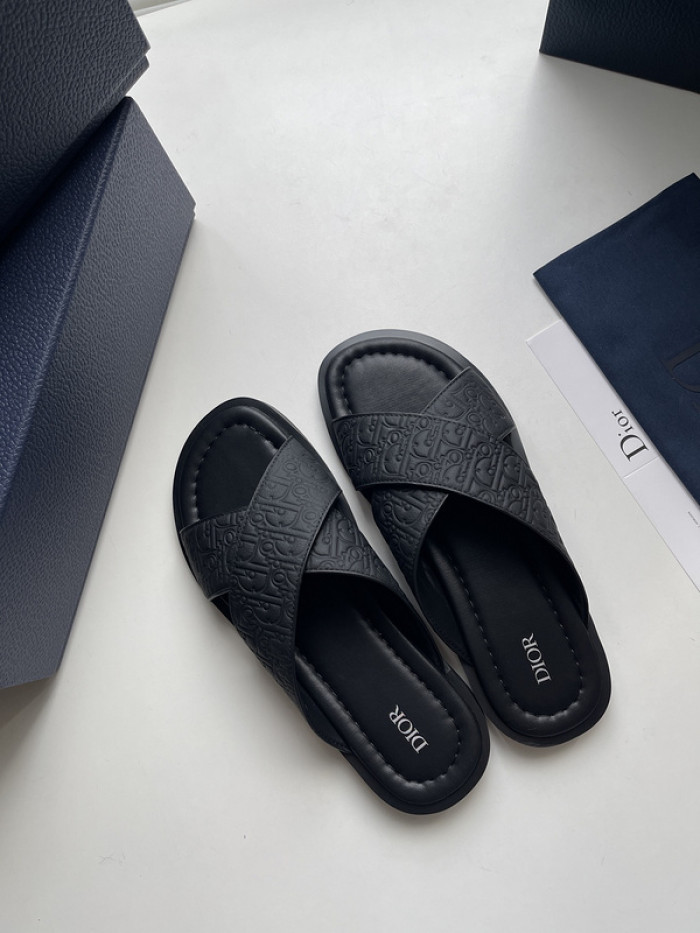 D10r slides ds-049