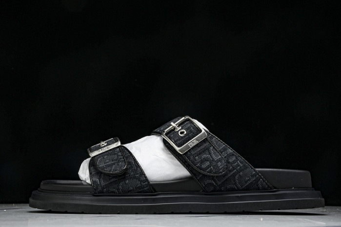 D10r slides ds-058