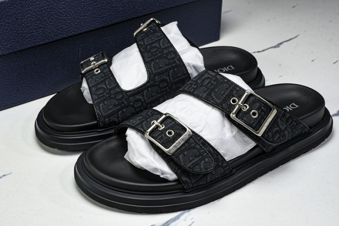 D10r slides ds-058
