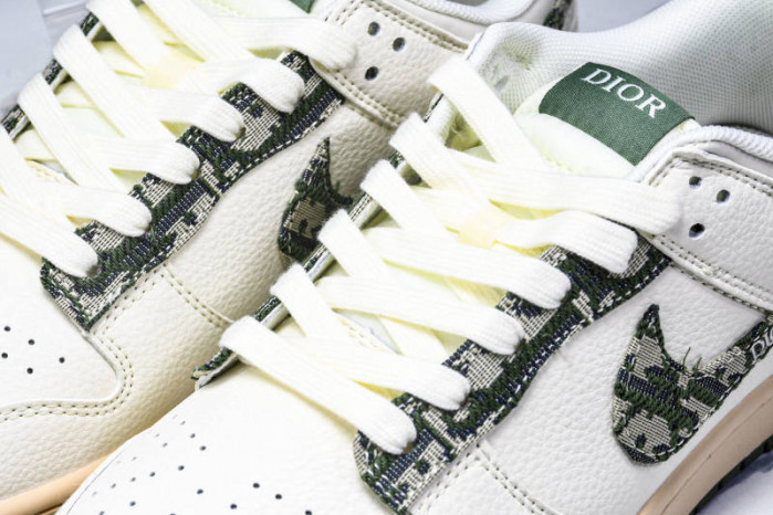 nike sb dunk low & D10r fc1688-226