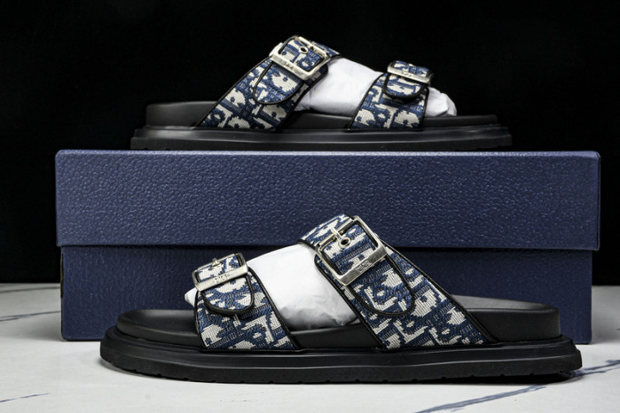 D10r slides ds-057