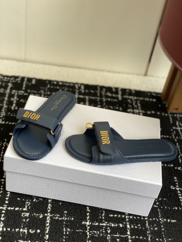 D10r slides ds-084