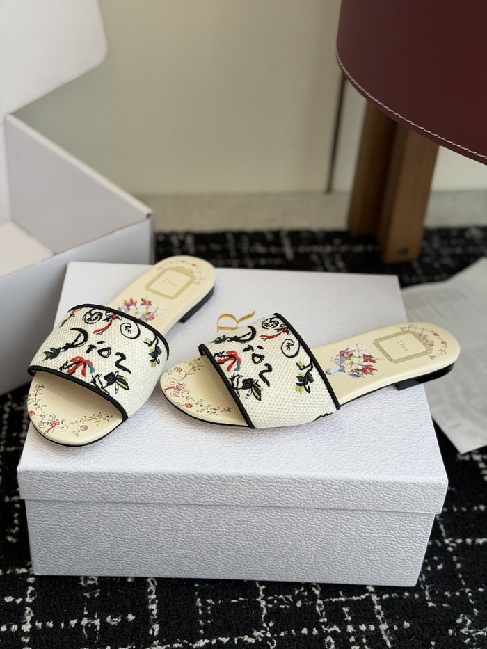 D10r SLIDES DS-0118