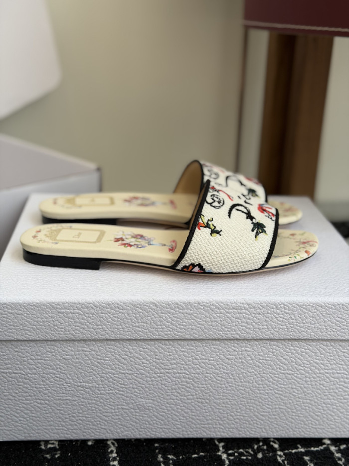 D10r SLIDES DS-0118