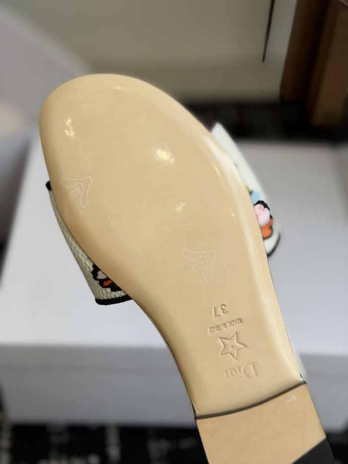 D10r SLIDES DS-0118