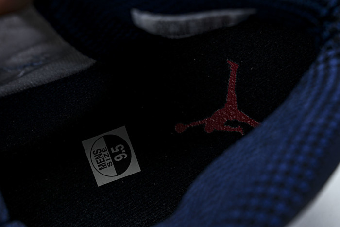 Air Jordan 10 Retro 