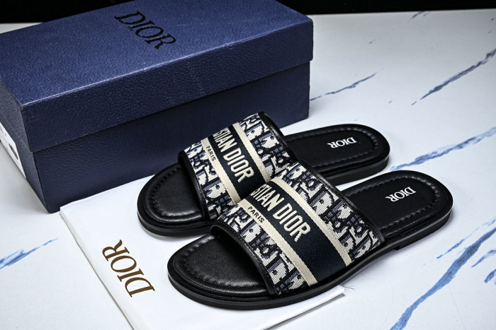 D10r SLIDES DS-0100