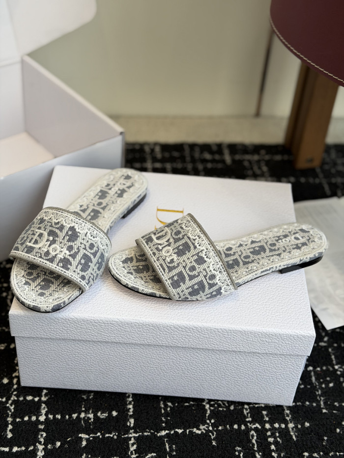 D10r SLIDES DS-0104