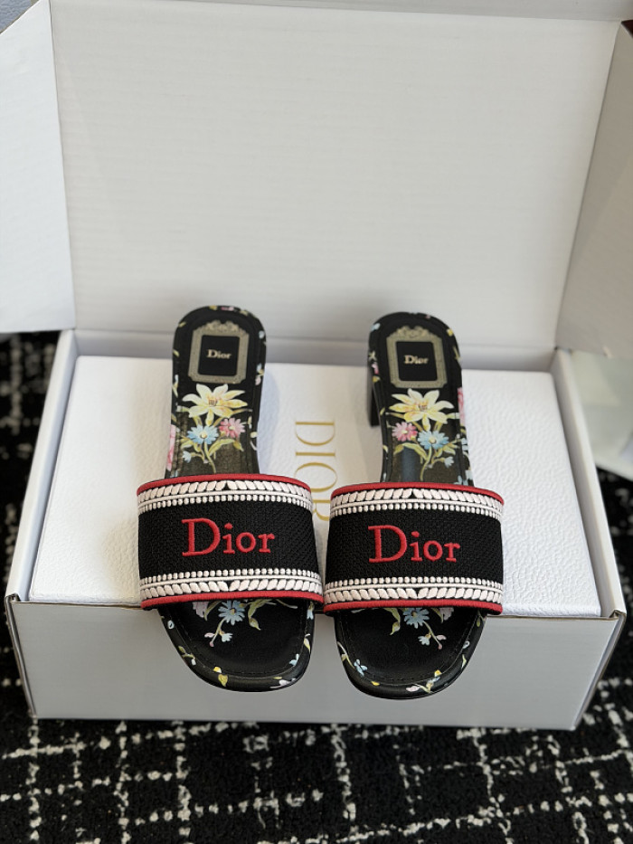D10r SLIDES DS-0123