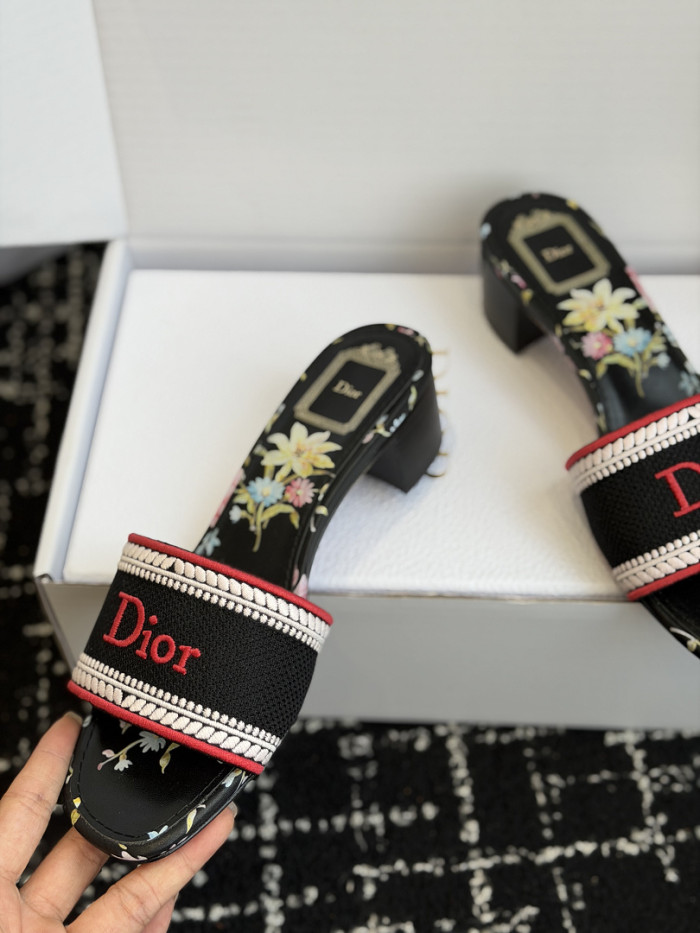 D10r SLIDES DS-0123