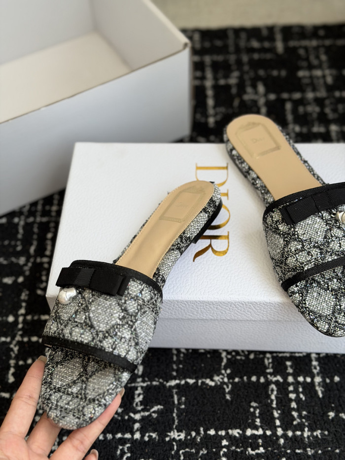 D10r SLIDES DS-0149